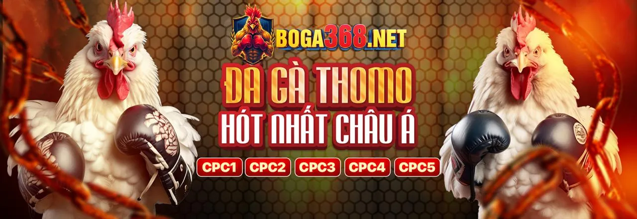 Hình ảnh chính giới thiệu 22win Code và các trò chơi giải trí